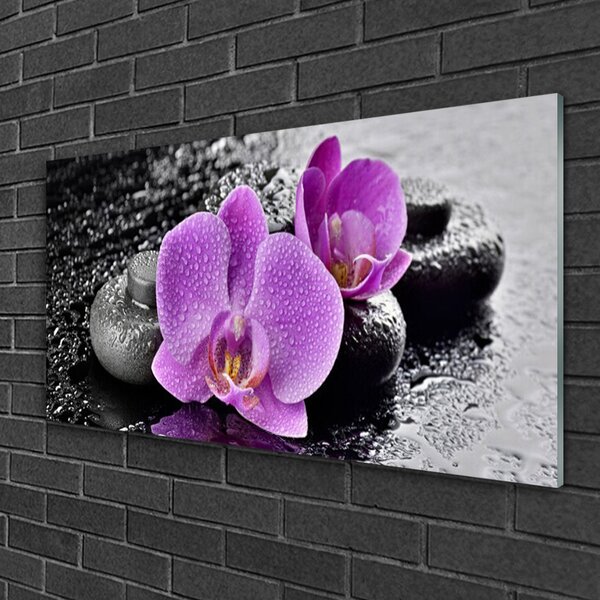 Tablou pe sticla Floare pietre Floral Roz Negru Gri