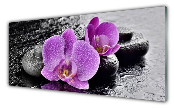 Tablou pe sticla Floare pietre Floral Roz Negru Gri
