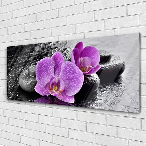 Tablou pe sticla Floare pietre Floral Roz Negru Gri