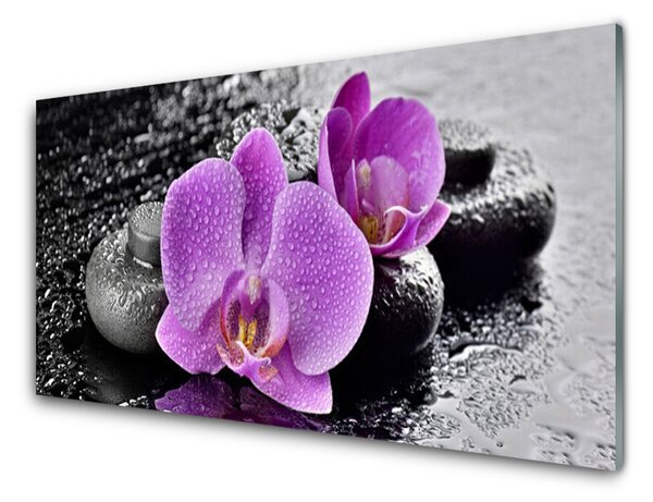 Tablou pe sticla Floare pietre Floral Roz Negru Gri