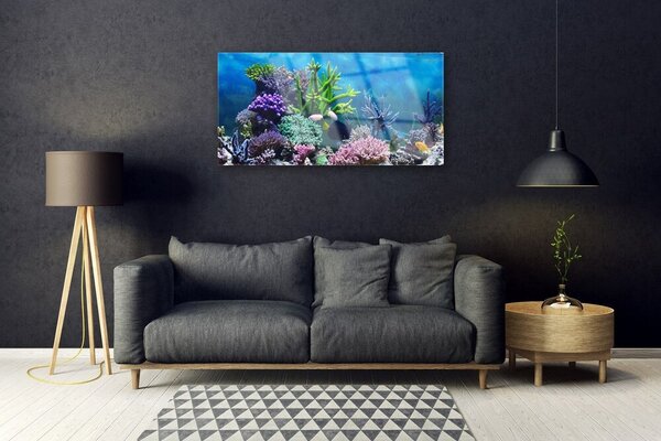 Tablou pe sticla Coral Reef Natura Multi