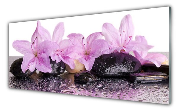 Panou sticla bucatarie Pietrele florale flori roz negru