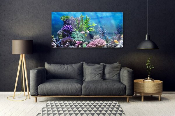 Tablou pe sticla Coral Reef Natura Multi