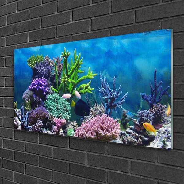 Tablou pe sticla Coral Reef Natura Multi