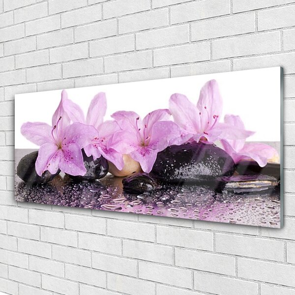 Tablou pe sticla Pietrele florale flori roz negru