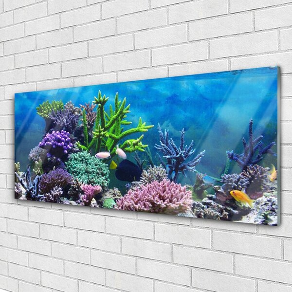 Tablou pe sticla Coral Reef Natura Multi
