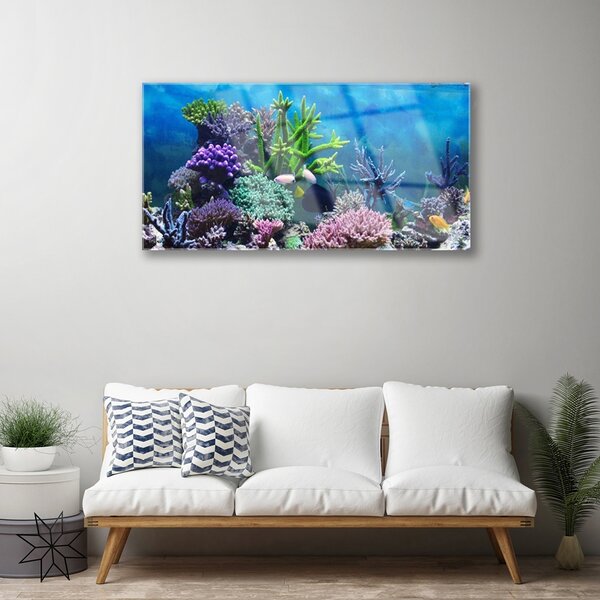 Tablou pe sticla Coral Reef Natura Multi