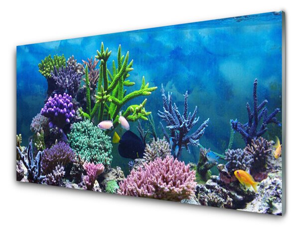 Tablou pe sticla Coral Reef Natura Multi