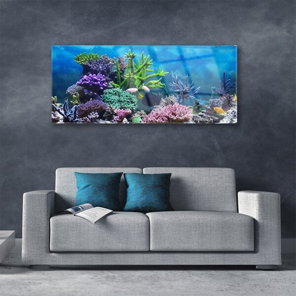 Tablou pe sticla Coral Reef Natura Multi