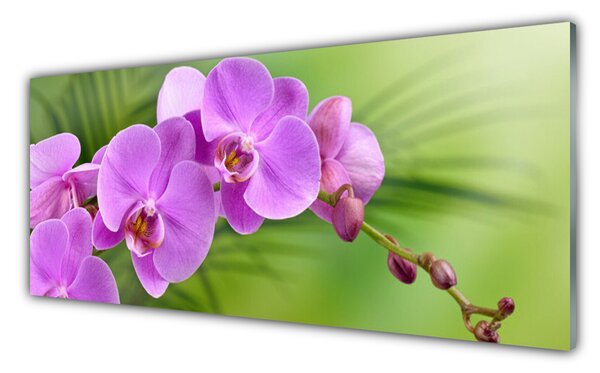 Panou sticla bucatarie Flori Case roz