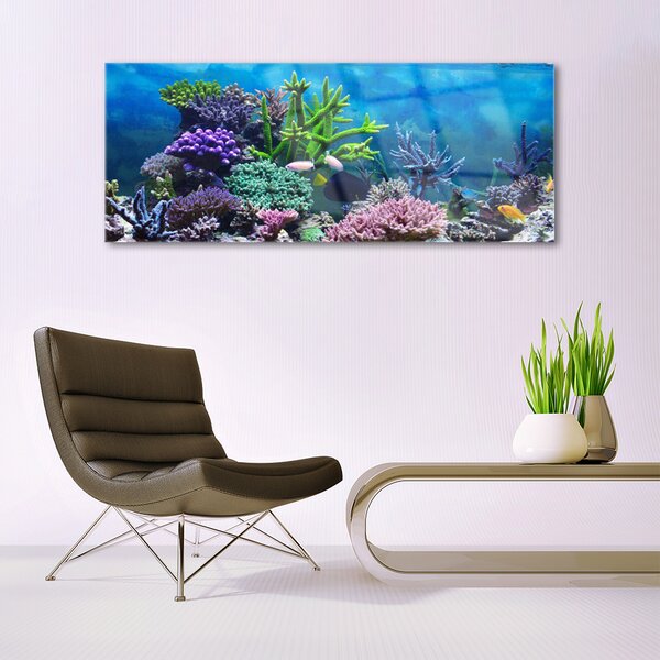 Tablou pe sticla Coral Reef Natura Multi
