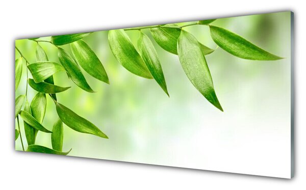 Tablou pe sticla Frunze verde florale