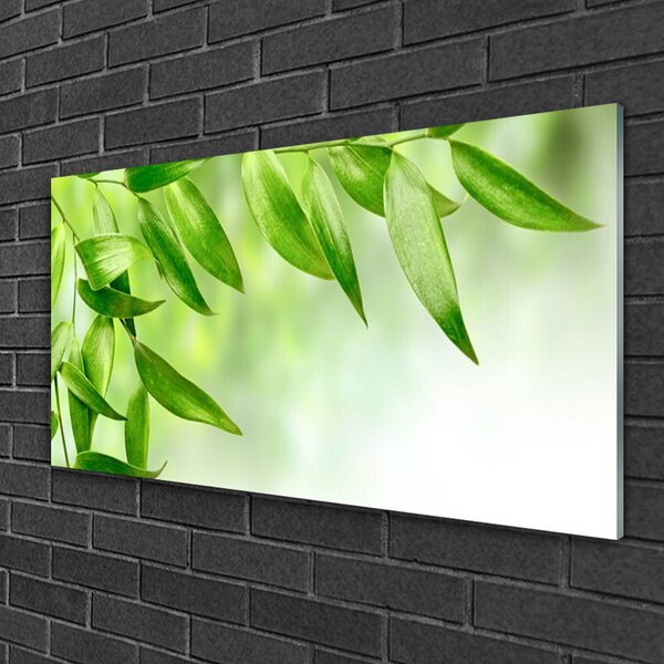 Tablou pe sticla Frunze verde florale