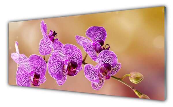 Tablou pe sticla Flori roz Floral