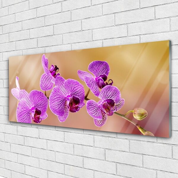 Tablou pe sticla Flori roz Floral