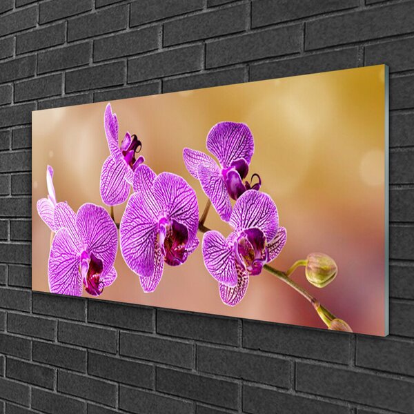 Tablou pe sticla Flori roz Floral