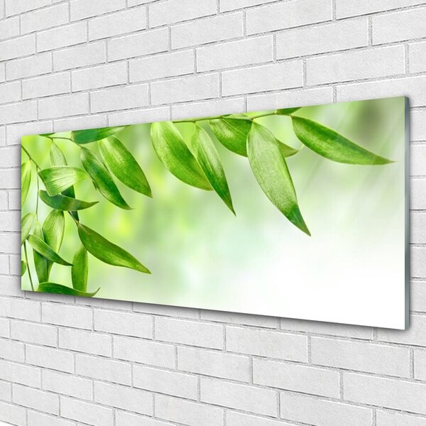 Tablou pe sticla Frunze verde florale