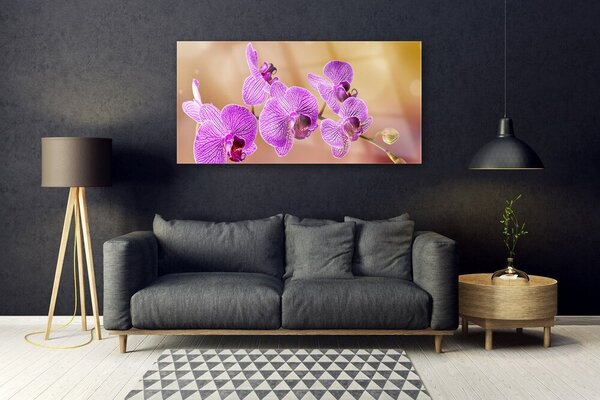 Tablou pe sticla Flori roz Floral