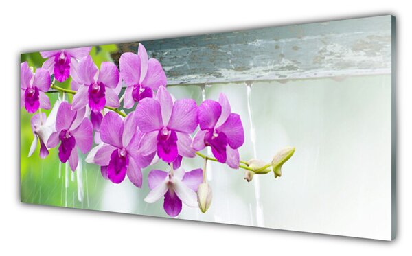 Tablou pe sticla Flori roz Floral
