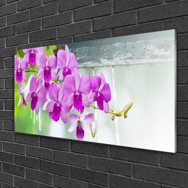 Tablou pe sticla Flori roz Floral