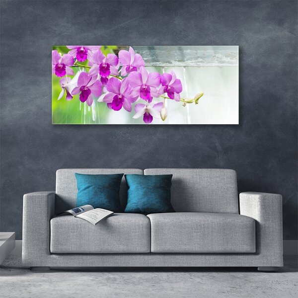 Tablou pe sticla Flori roz Floral