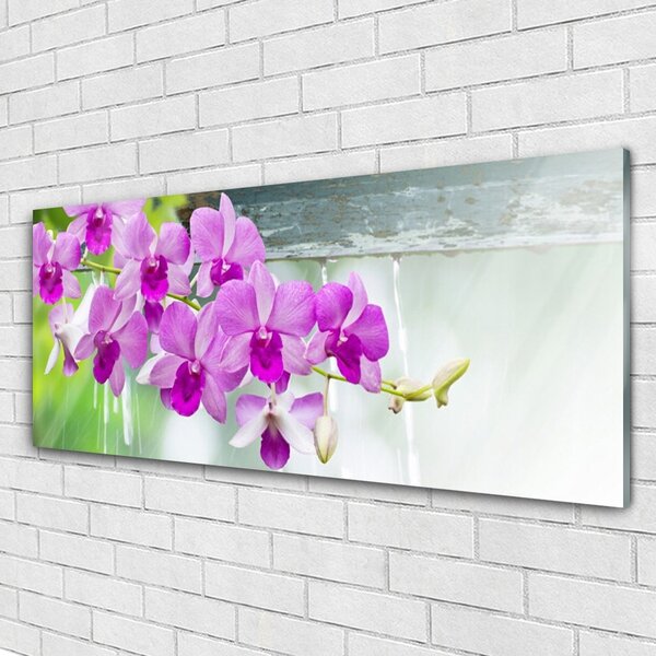 Tablou pe sticla Flori roz Floral