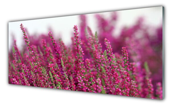 Panou sticla bucatarie Flori Floral Roșu Verde
