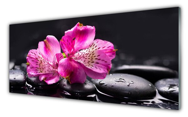 Tablou pe sticla Pietrele florale flori Roșu Negru