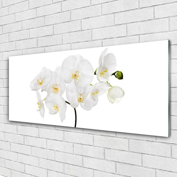 Tablou pe sticla Flori Floral alb
