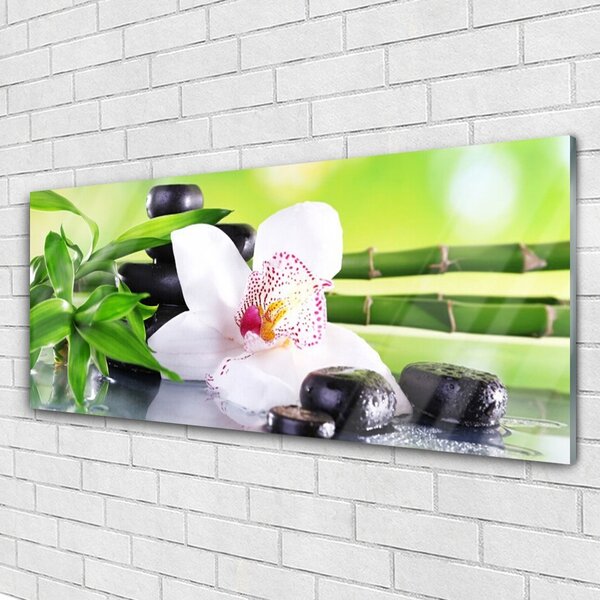 Tablou pe sticla Bambus Tulpini flori Stones Floral Verde Alb Negru