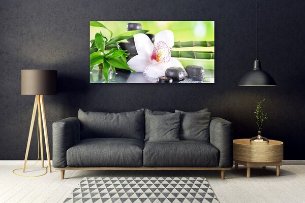 Tablou pe sticla Bambus Tulpini flori Stones Floral Verde Alb Negru