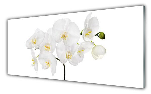 Panou sticla bucatarie Flori Floral alb