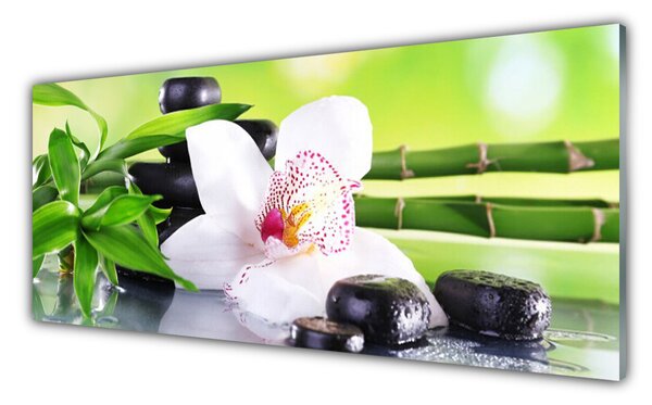 Panou sticla bucatarie Bambus Tulpini flori Stones Floral Verde Alb Negru