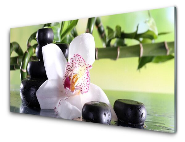 Panou sticla bucatarie Bambus Cane flori Stones Floral Verde Alb Negru