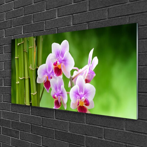 Tablou pe sticla Bamboo Tube Flori Floral Verde Roz