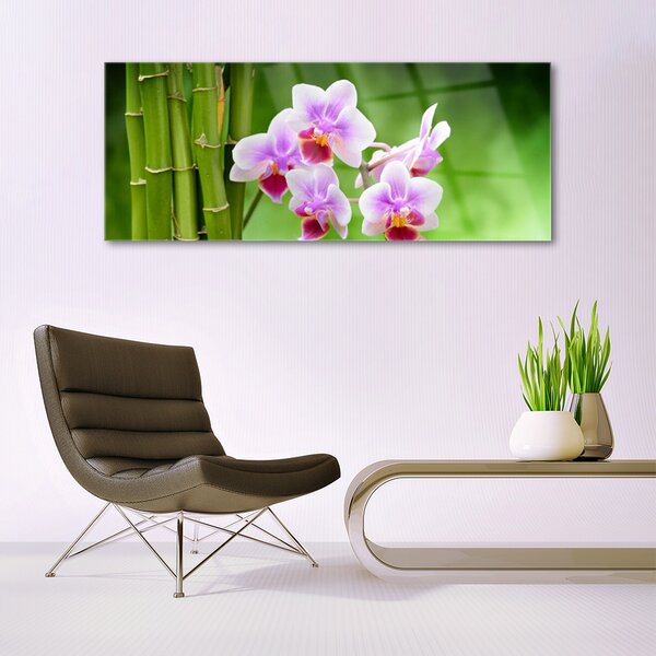 Tablou pe sticla Bamboo Tube Flori Floral Verde Roz
