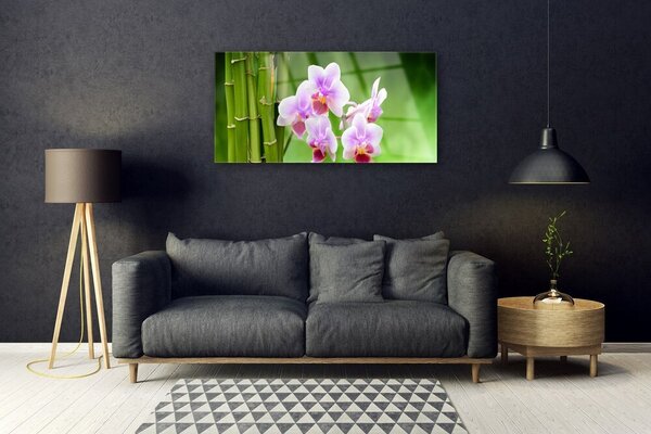 Tablou pe sticla Bamboo Tube Flori Floral Verde Roz