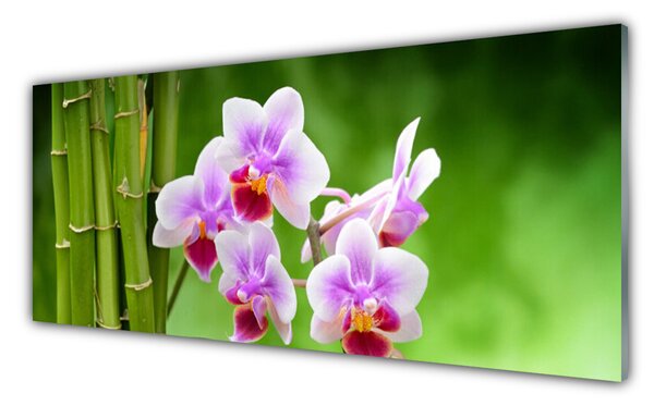 Tablou pe sticla Bamboo Tube Flori Floral Verde Roz