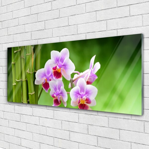 Tablou pe sticla Bamboo Tube Flori Floral Verde Roz