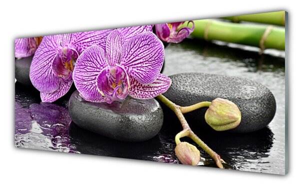 Tablouri acrilice Pietrele florale flori roz gri