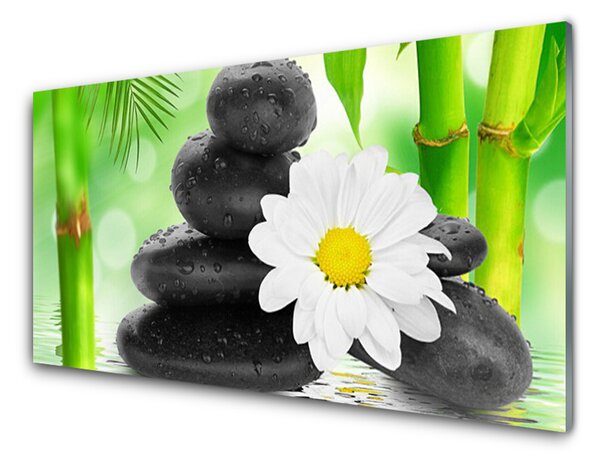 Panou sticla bucatarie Bamboo Tube flori Stones Arta Verde Alb Negru