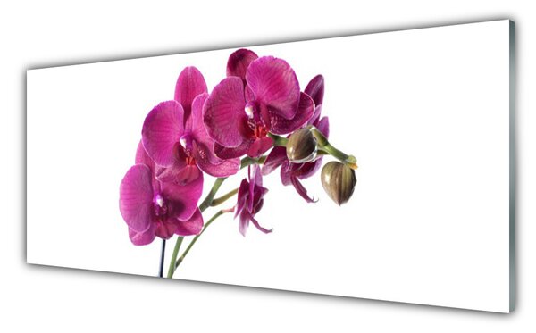 Tablou pe sticla Flori Floral Roșu