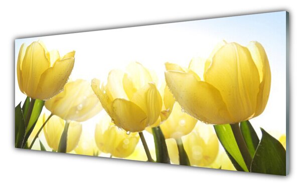 Panou sticla bucatarie Lalele floral galben