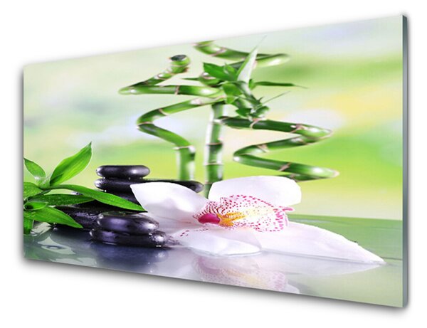 Panou sticla bucatarie Bambus Tulpini flori Stones Floral Verde Alb Negru