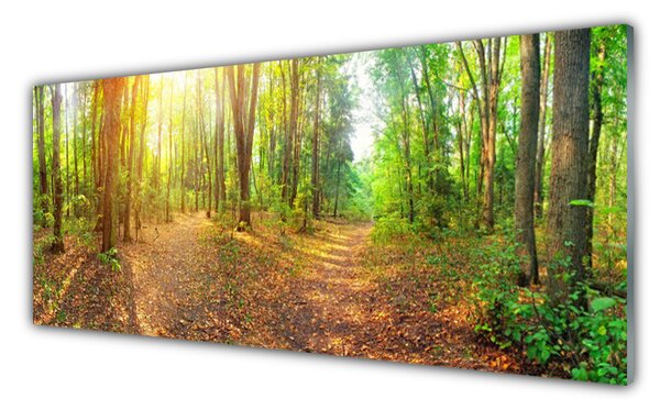 Tablou pe sticla Natural Pădurea Verde Maro