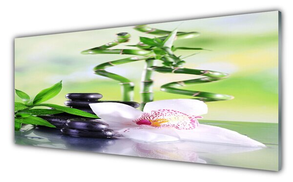 Panou sticla bucatarie Bambus Tulpini flori Stones Floral Verde Alb Negru