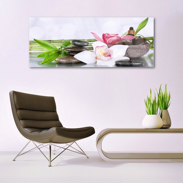 Tablou pe sticla Bambus Tulpini flori Stones Floral Verde Alb Gri