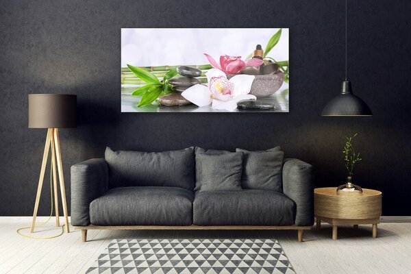 Tablou pe sticla Bambus Tulpini flori Stones Floral Verde Alb Gri
