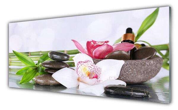 Tablou pe sticla Bambus Tulpini flori Stones Floral Verde Alb Gri
