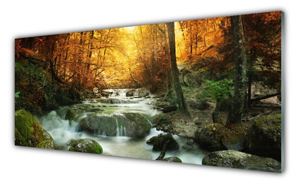 Tablou pe sticla Cascada Pietrele Natural Pădurea Brun Galben Gri Alb